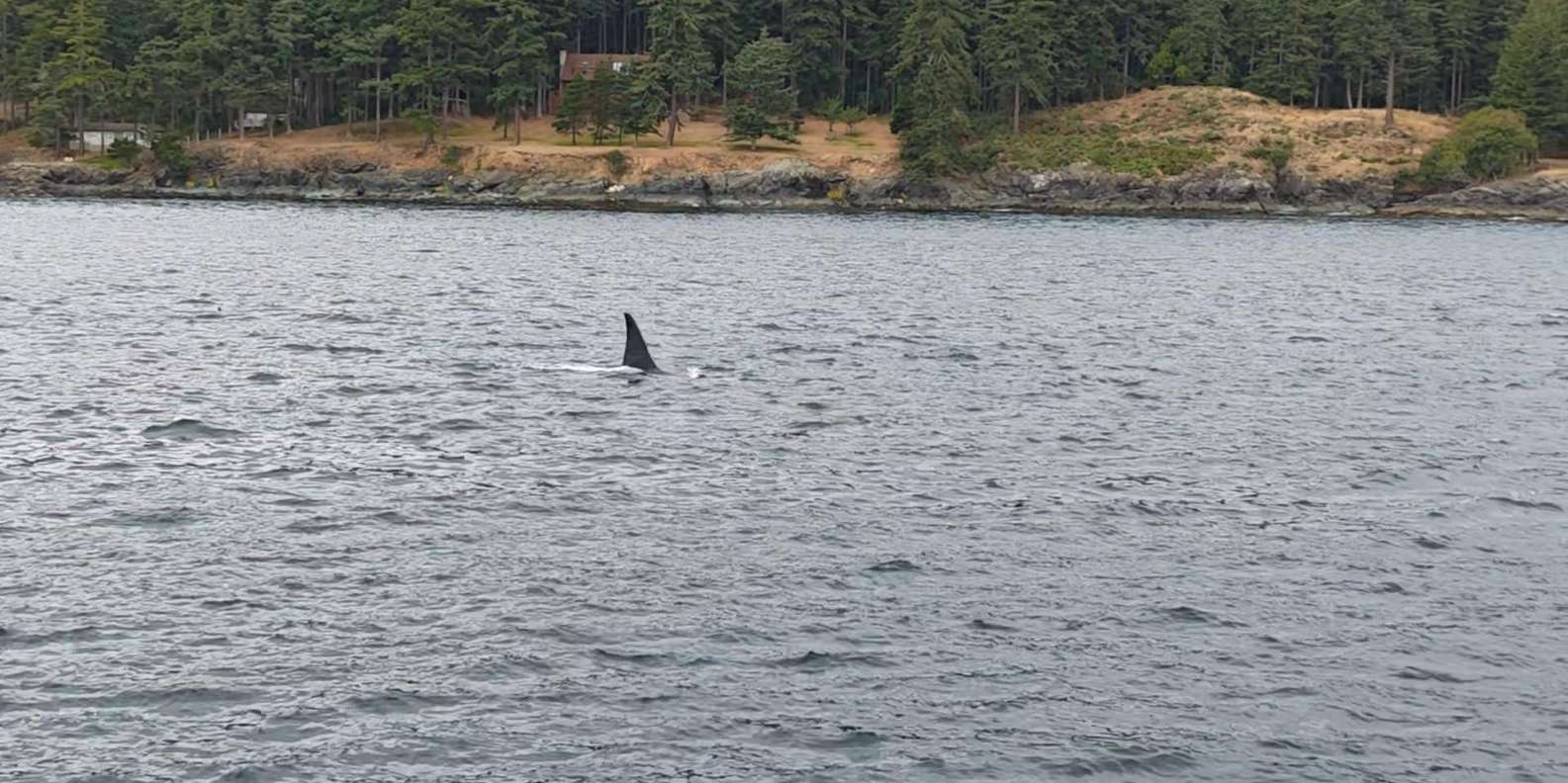 Guest photo from review