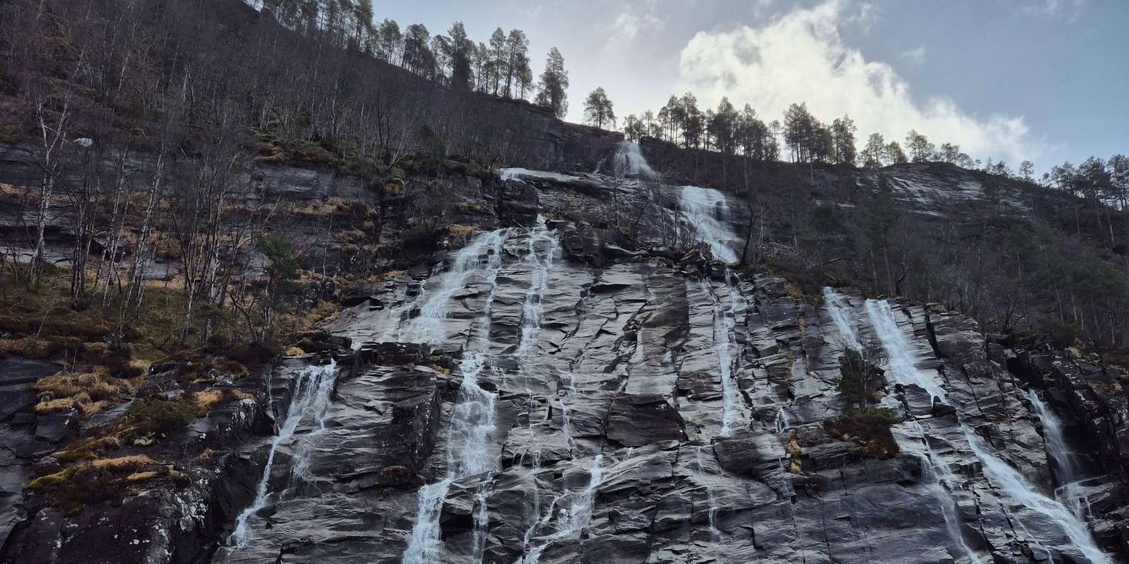 Guest photo from review