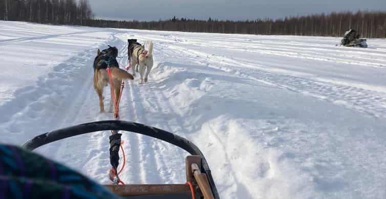 Медиаколлаж