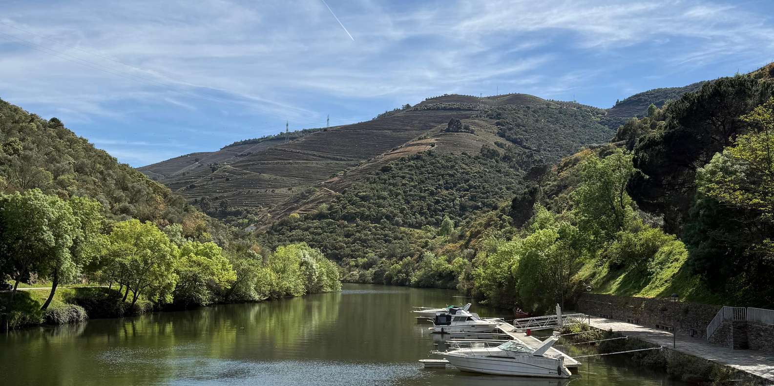 Guest photo from review