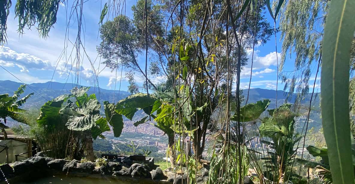 Colagem de mídia