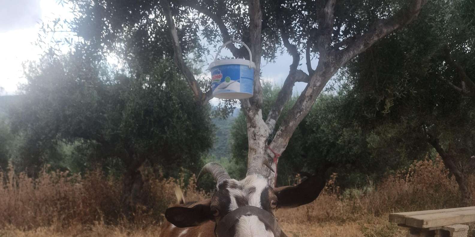 Guest photo from review