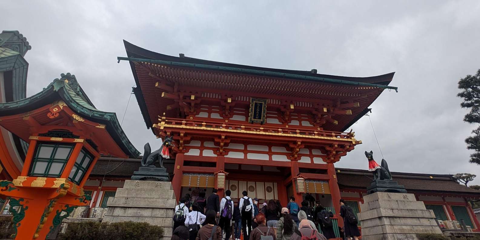 Guest photo from review