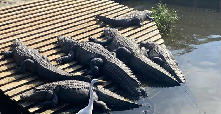 Colagem de mídia