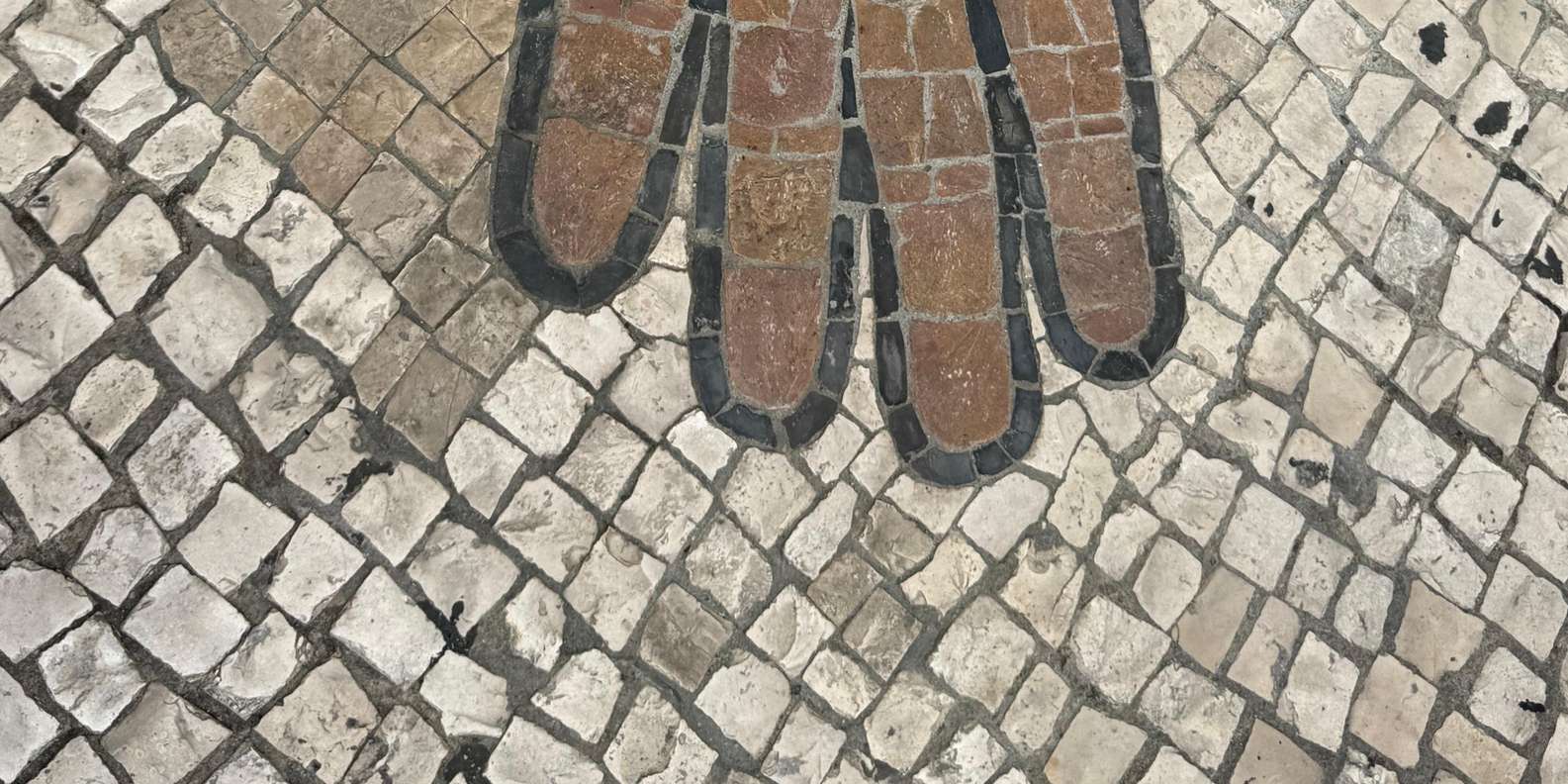 Guest photo from review