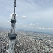 Tokyo Guided Helicopter Ride With Mount Fuji Option T455118 — photo 6