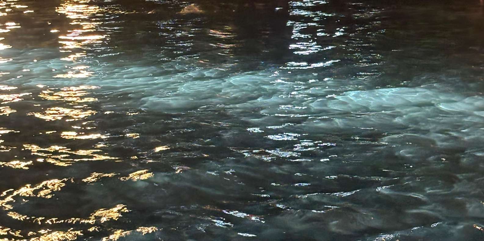 Guest photo from review
