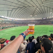 Japan Baseball Tour-Catch a Live Game in Tokyo with a Local — photo 6