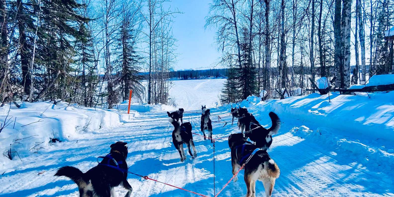 Guest photo from review
