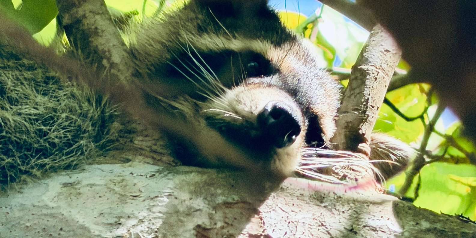 Guest photo from review