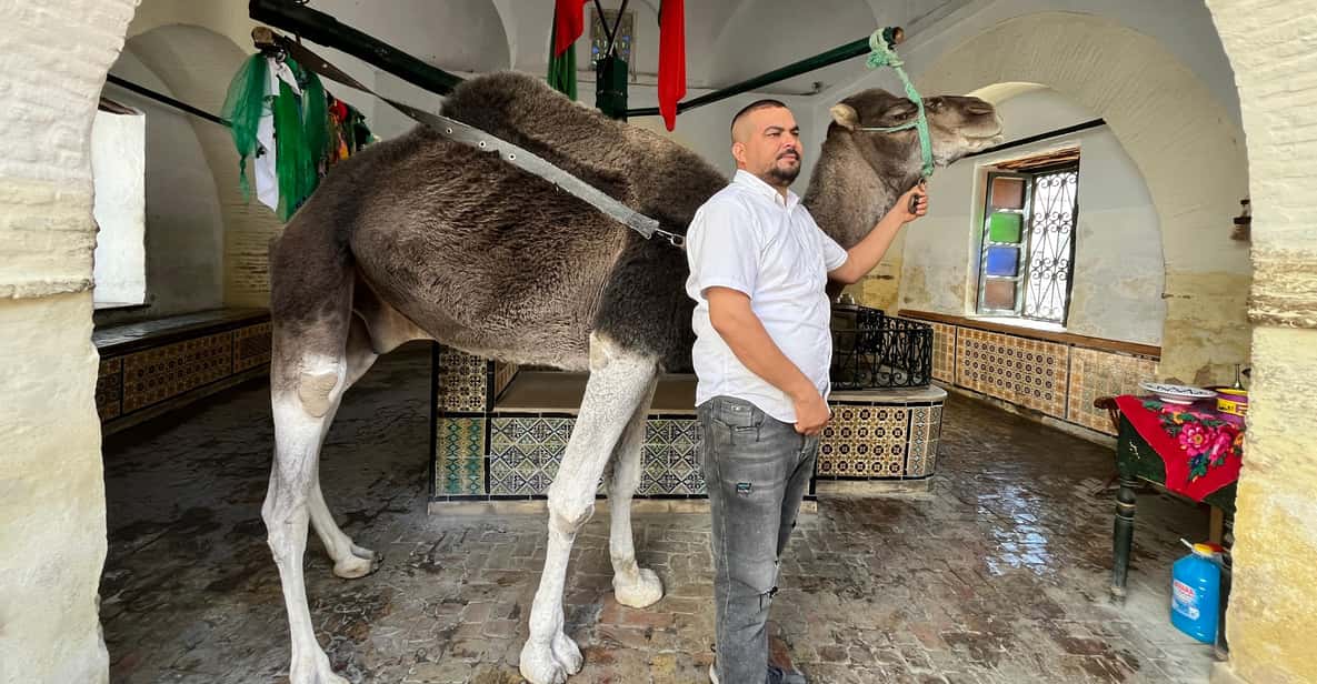 From Tunis: Kairouan, El Jem, & Monastir Private Tour