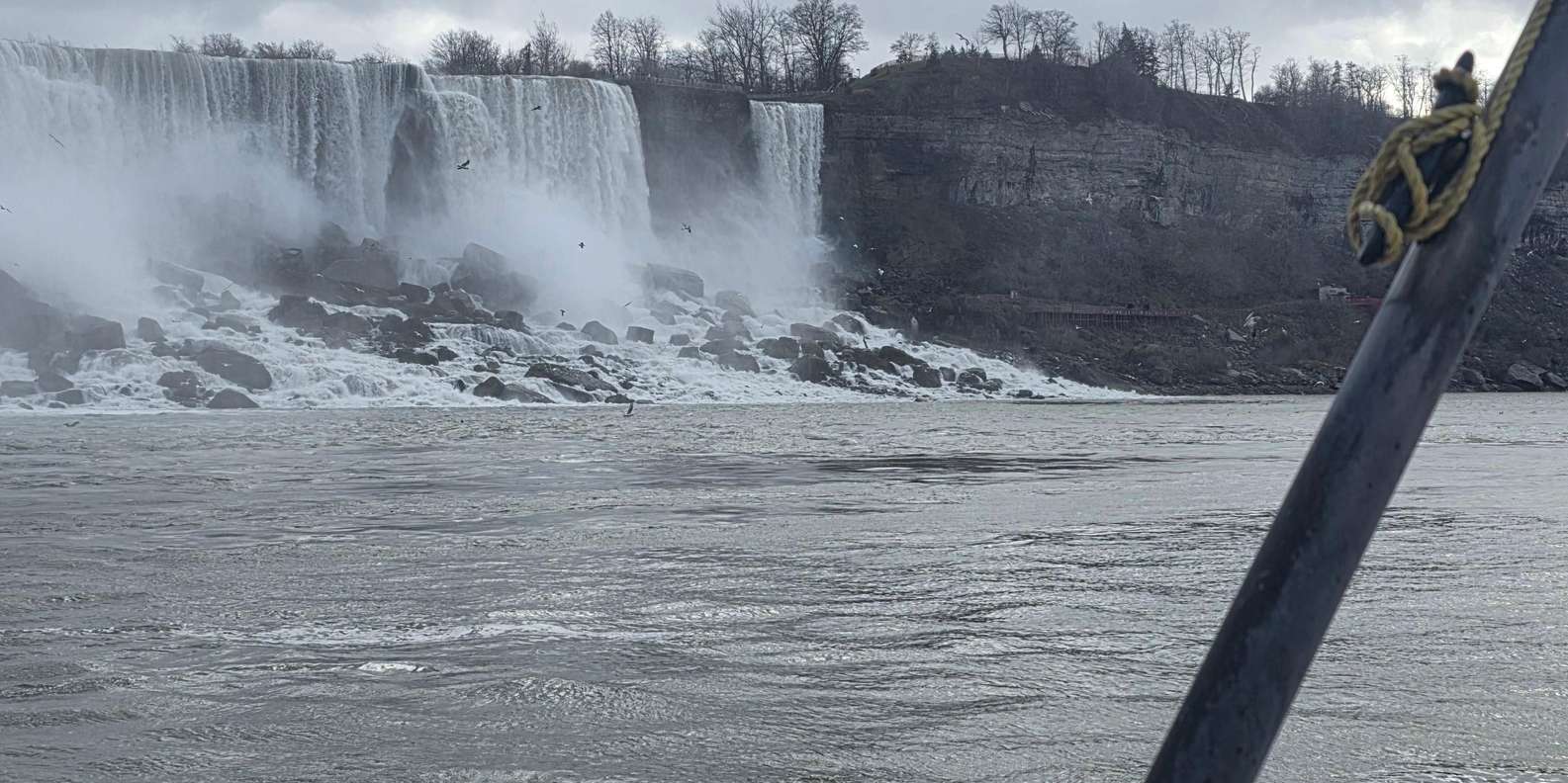 Guest photo from review