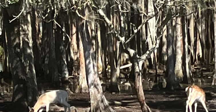 Colagem de mídia
