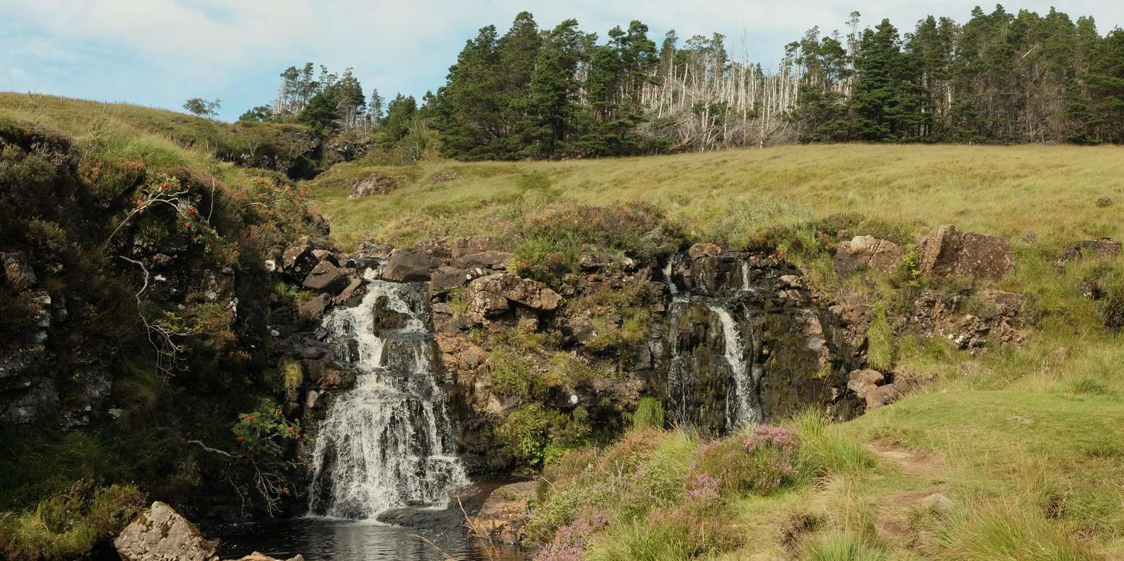 Guest photo from review