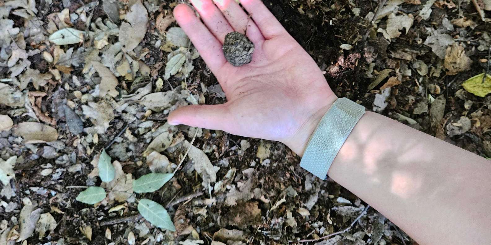 Guest photo from review