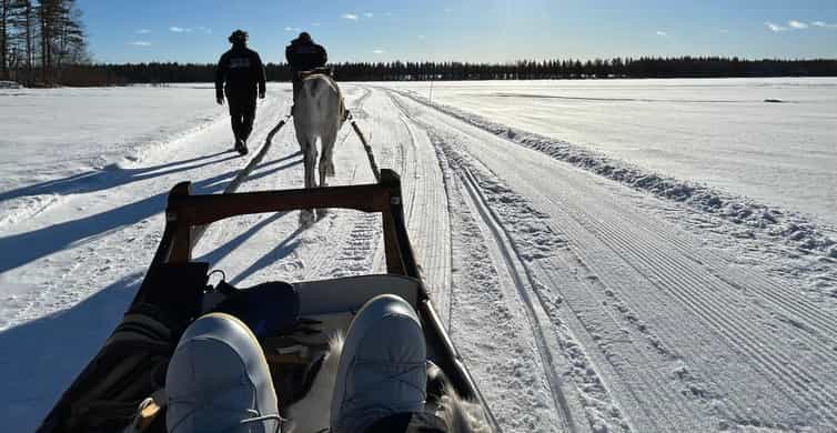 Медиаколлаж