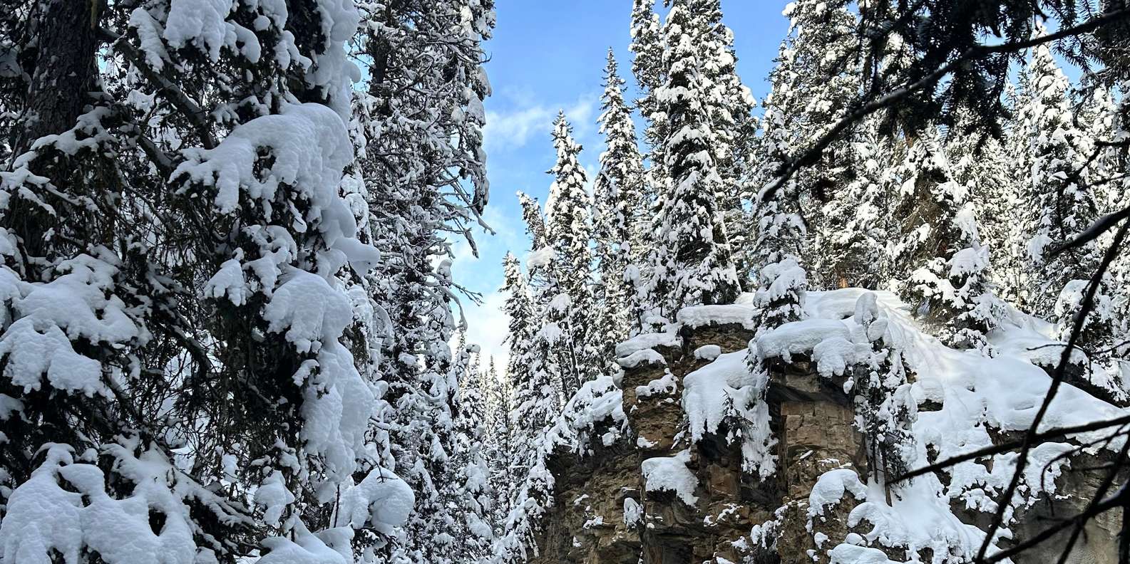 Guest photo from review