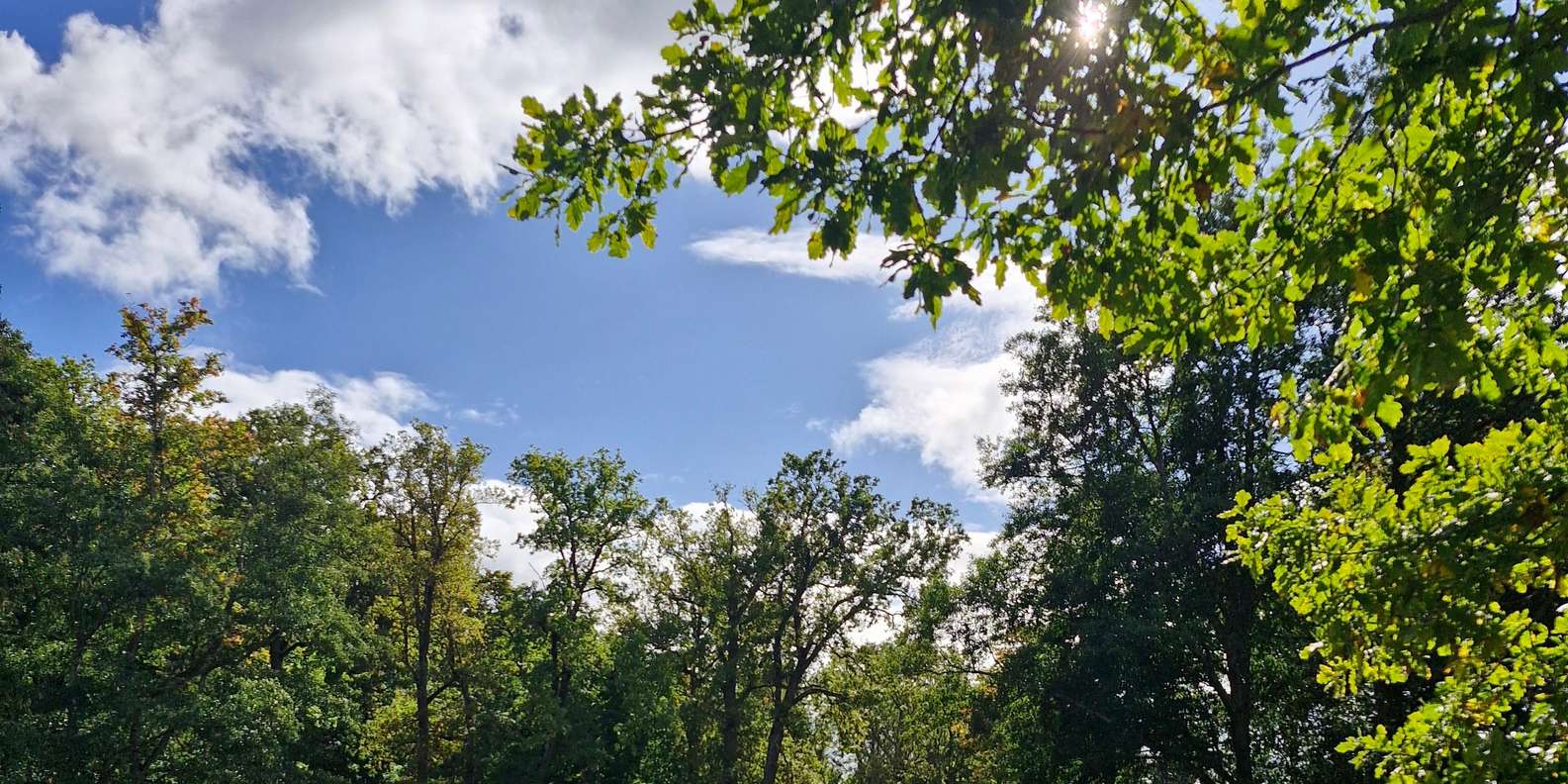 Guest photo from review