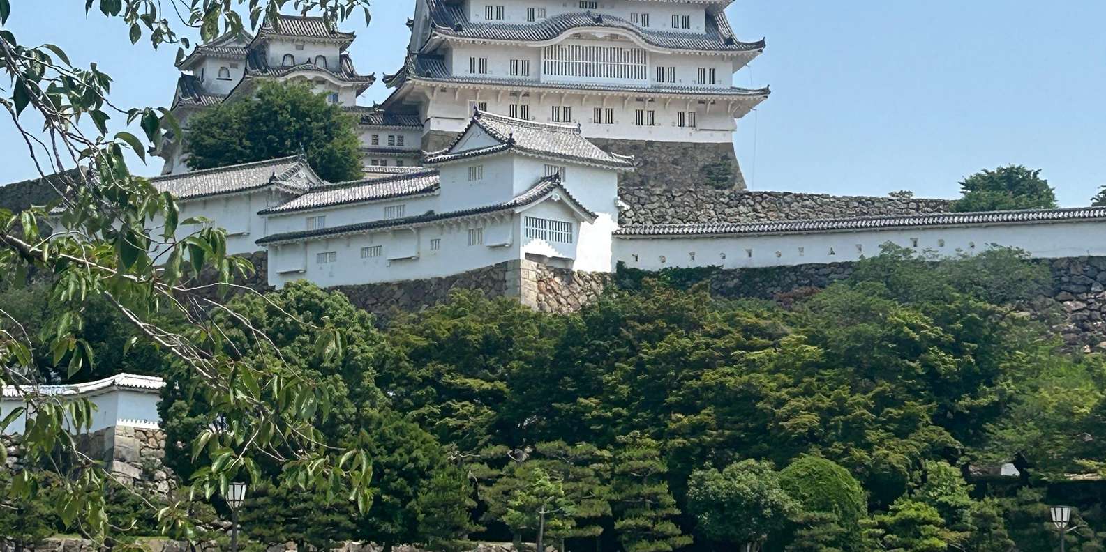 Guest photo from review