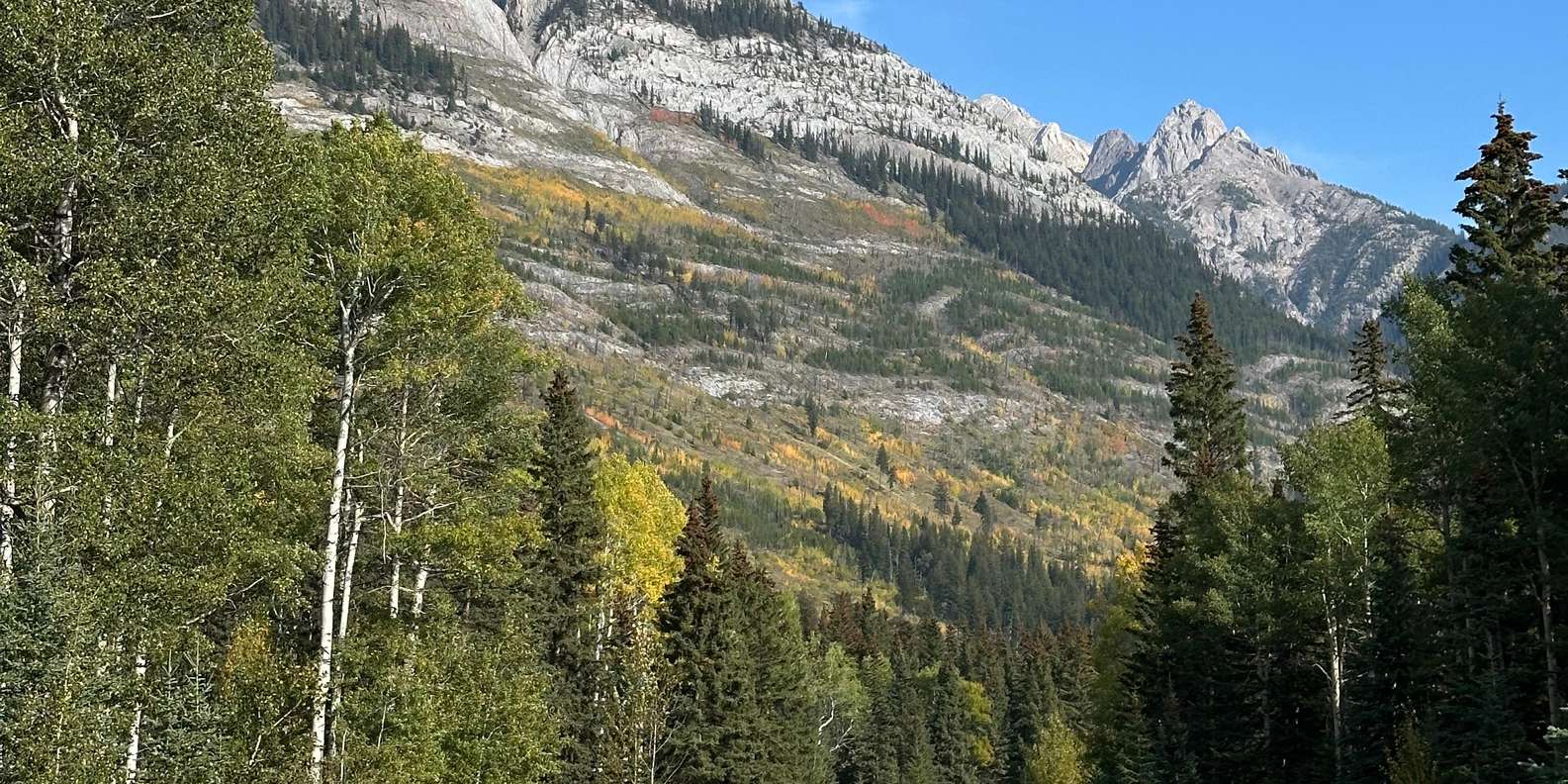 Guest photo from review