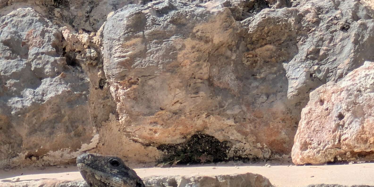 Guest photo from review