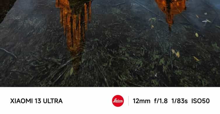 Galería de fotos para redes