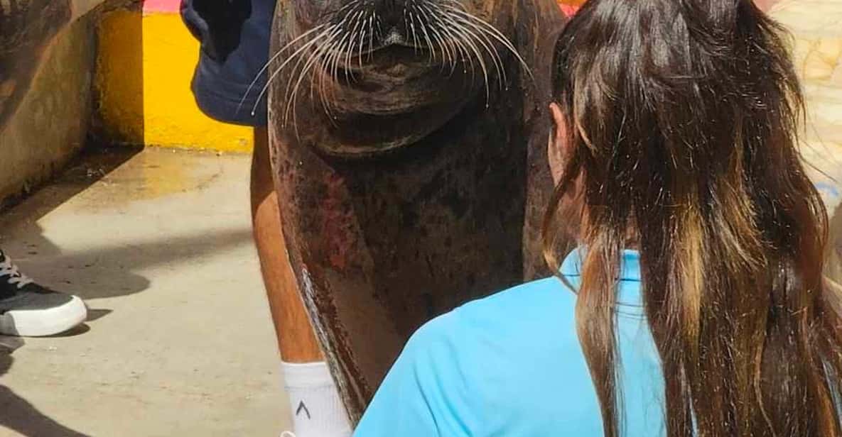 Galería de fotos para redes