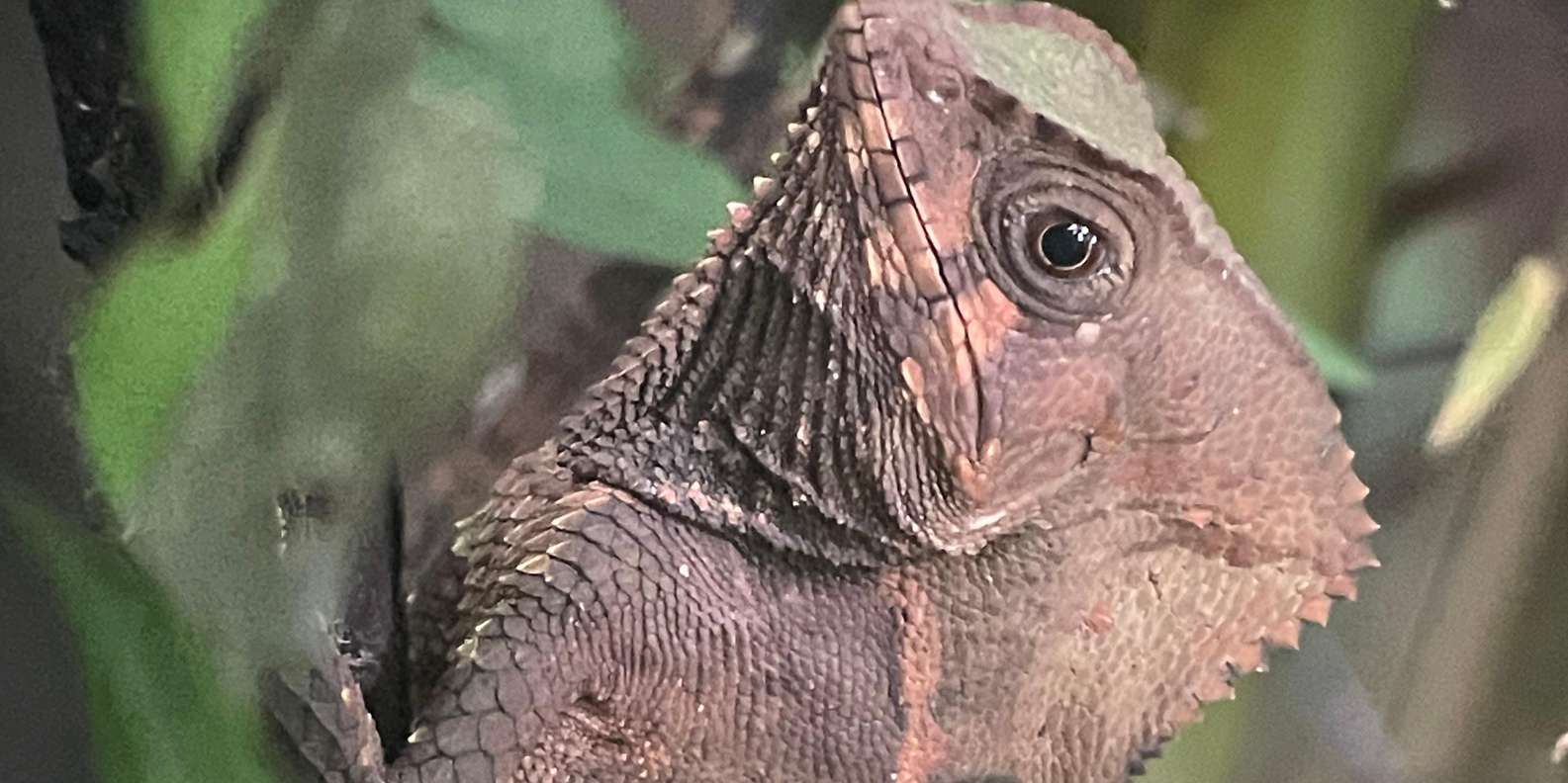 Guest photo from review