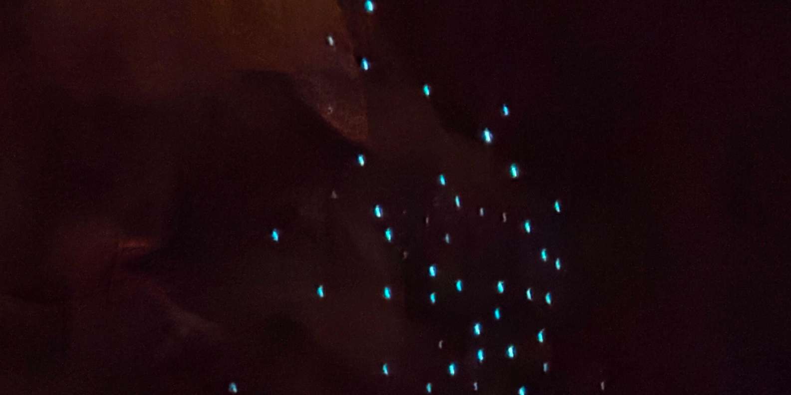 Guest photo from review