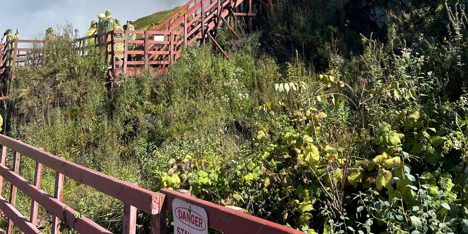 Guest photo from review