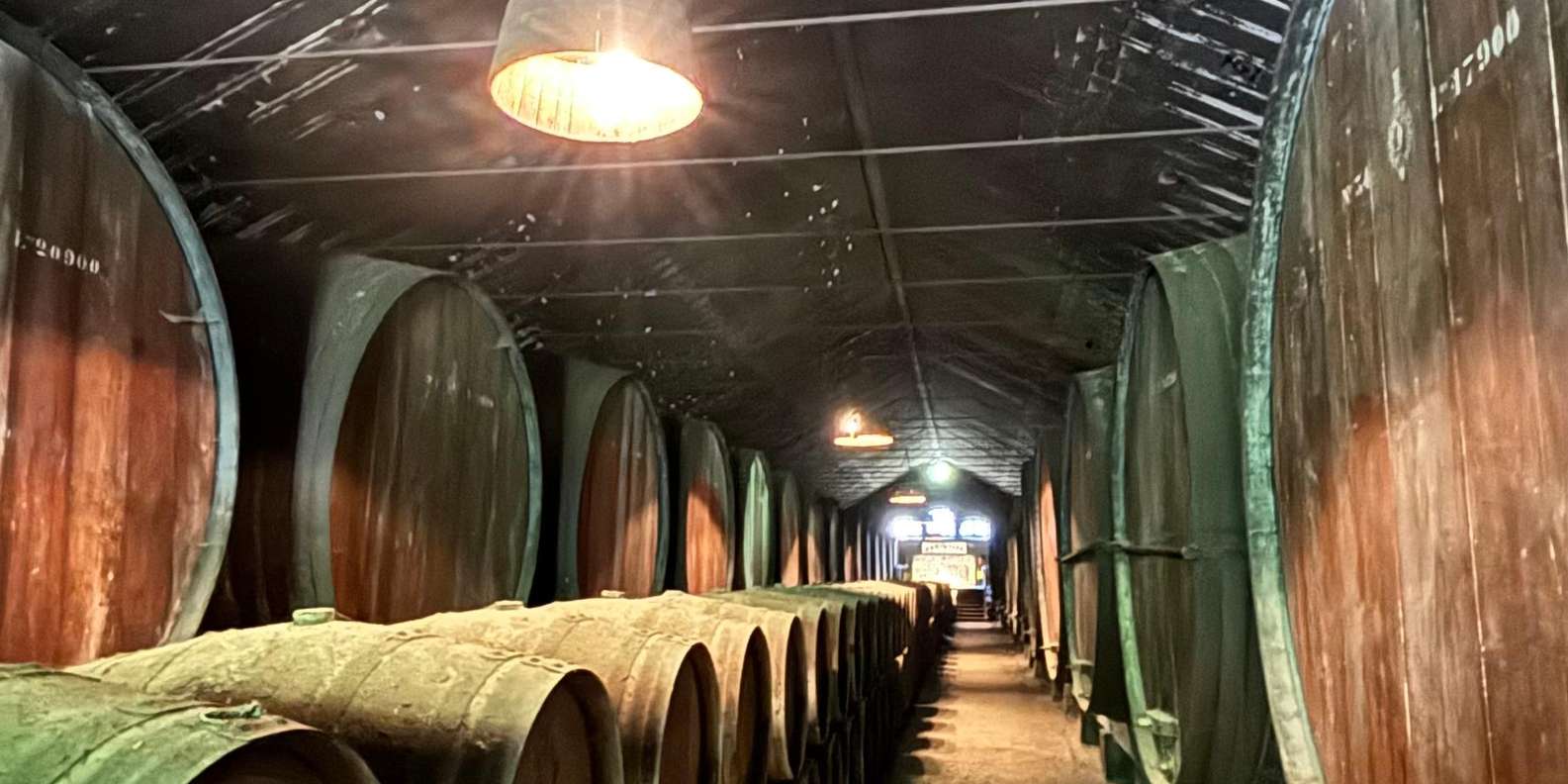 Guest photo from review
