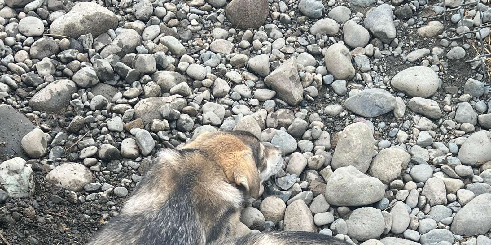 Guest photo from review