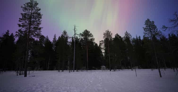 Медиаколлаж