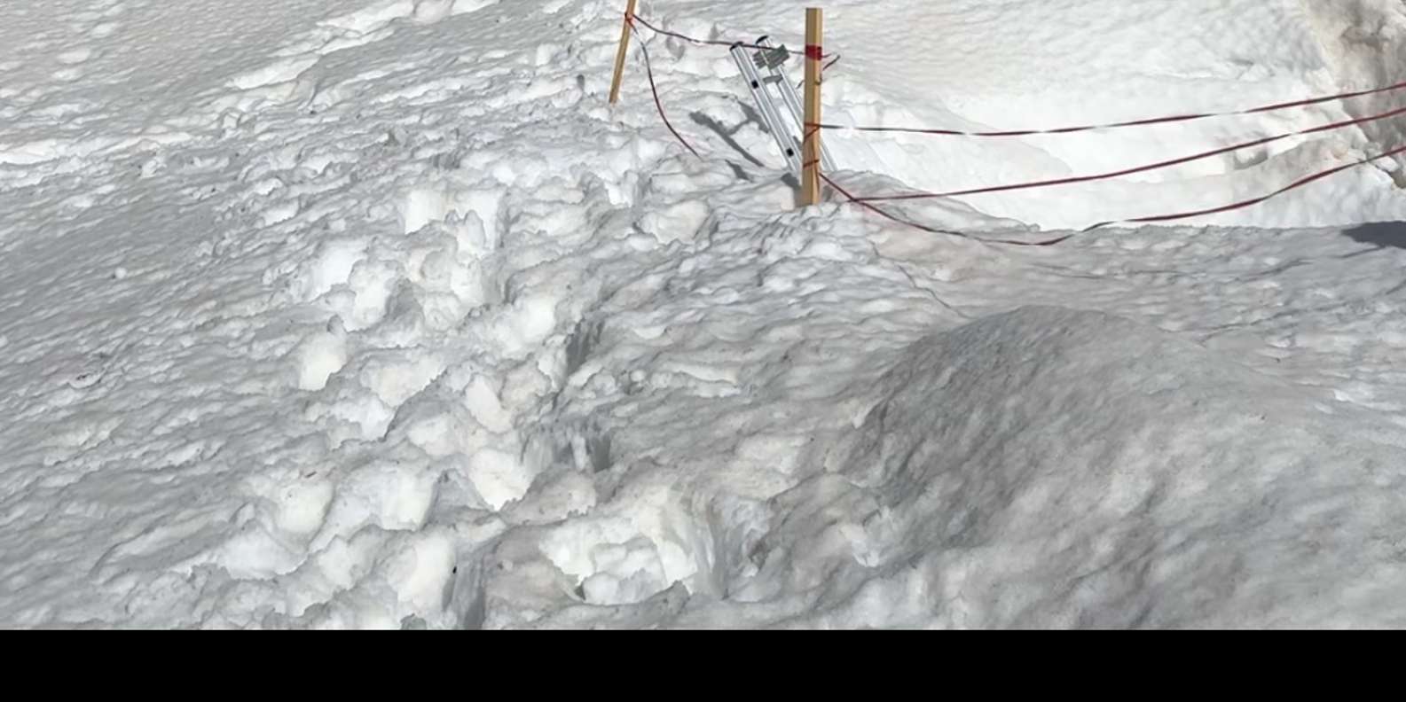 Guest photo from review