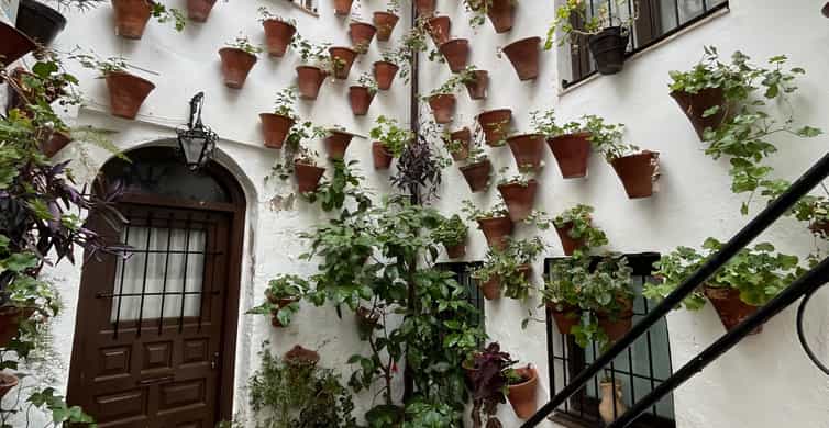 Galería de fotos para redes
