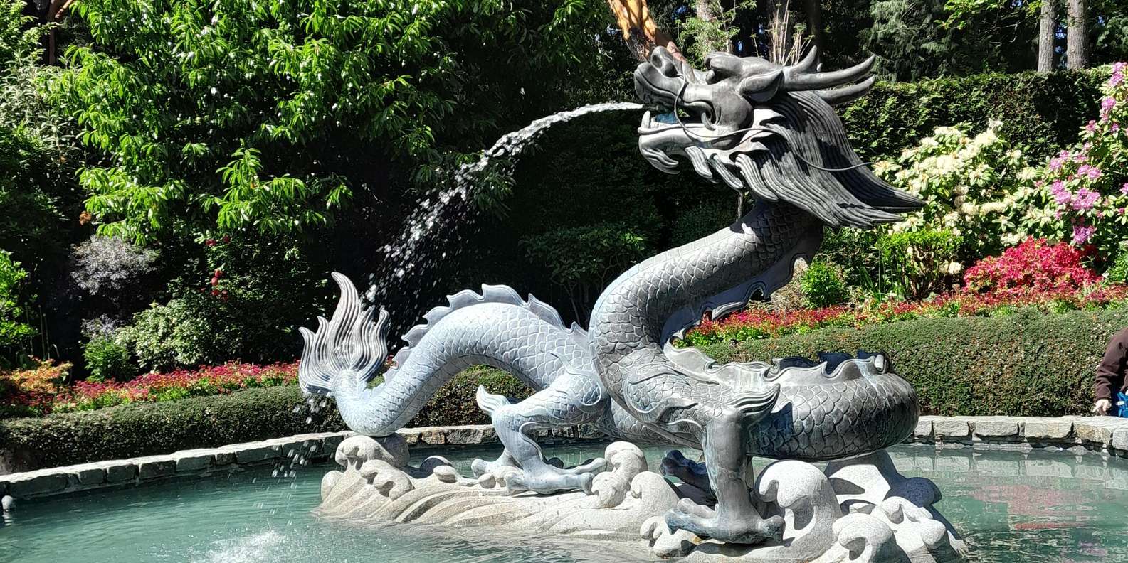 Guest photo from review