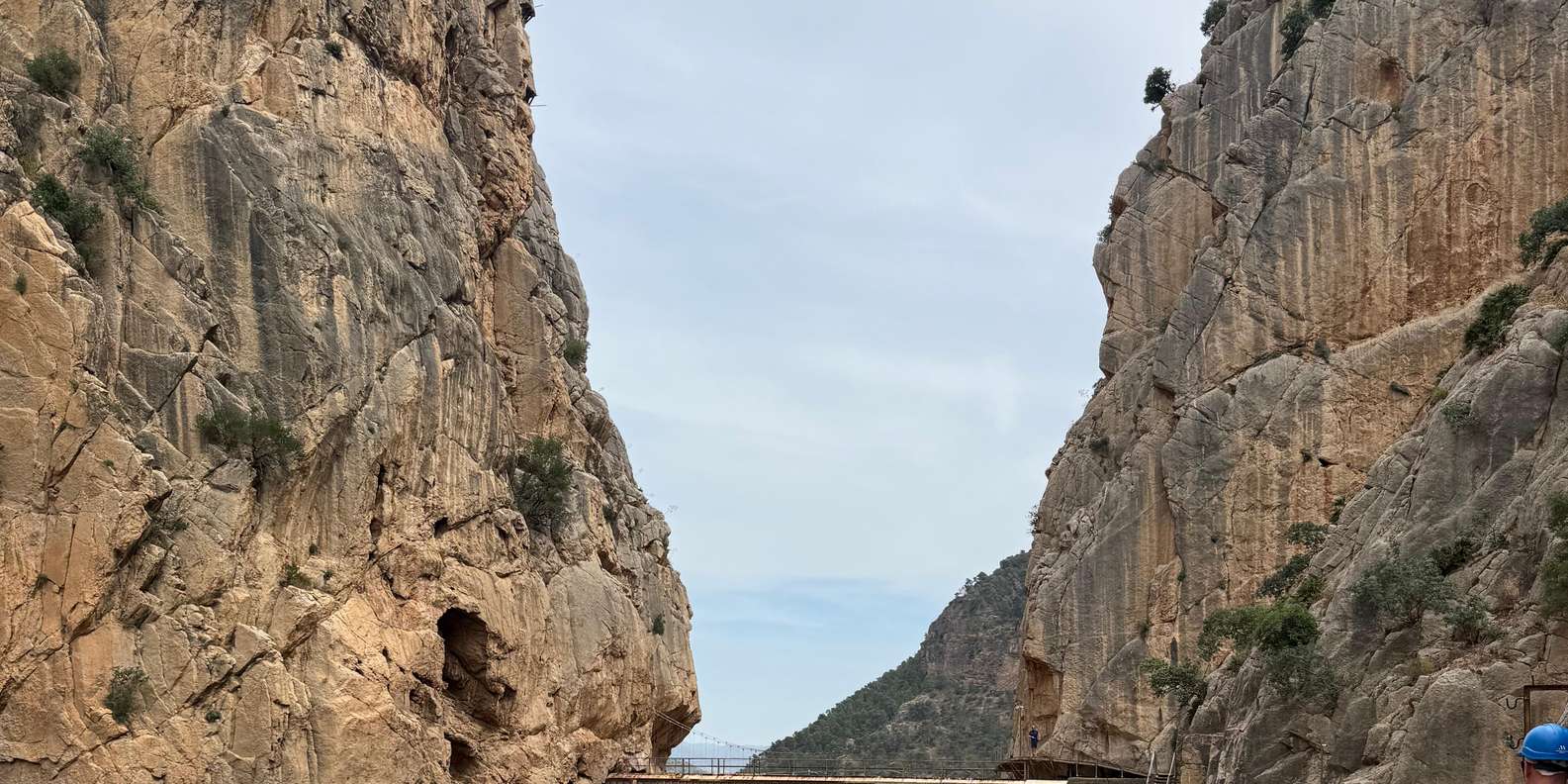 Guest photo from review