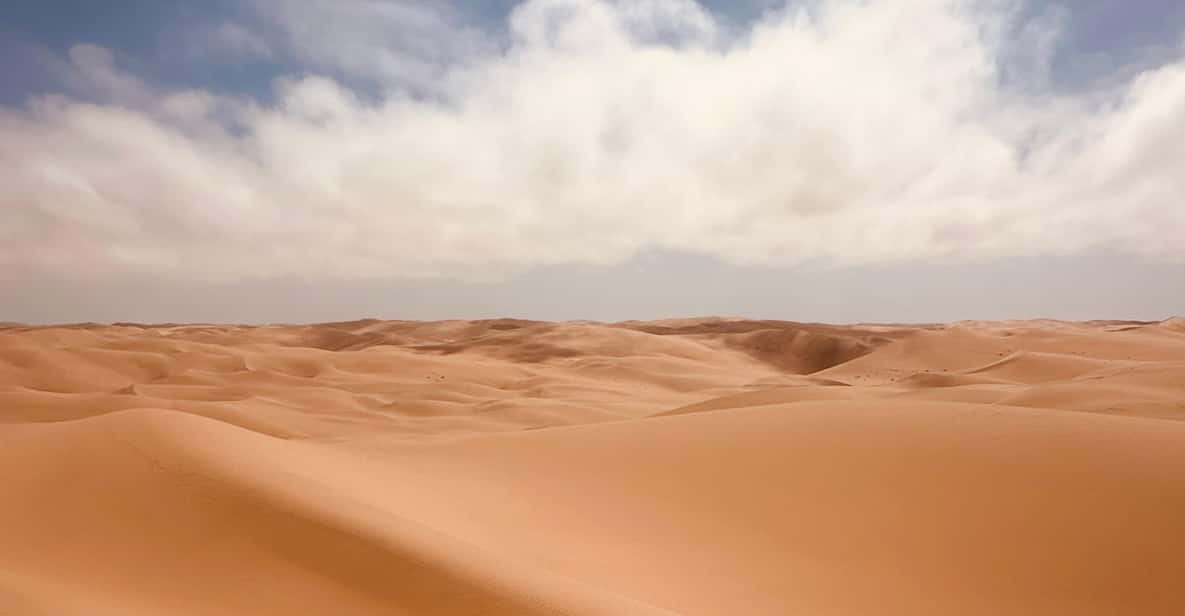 Galería de fotos para redes