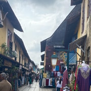 VISITE D'UNE JOURNÉE COMPLÈTE À KOCHI (DEPUIS LES HÔTELS DE KOCHI CITY) - Hizvo