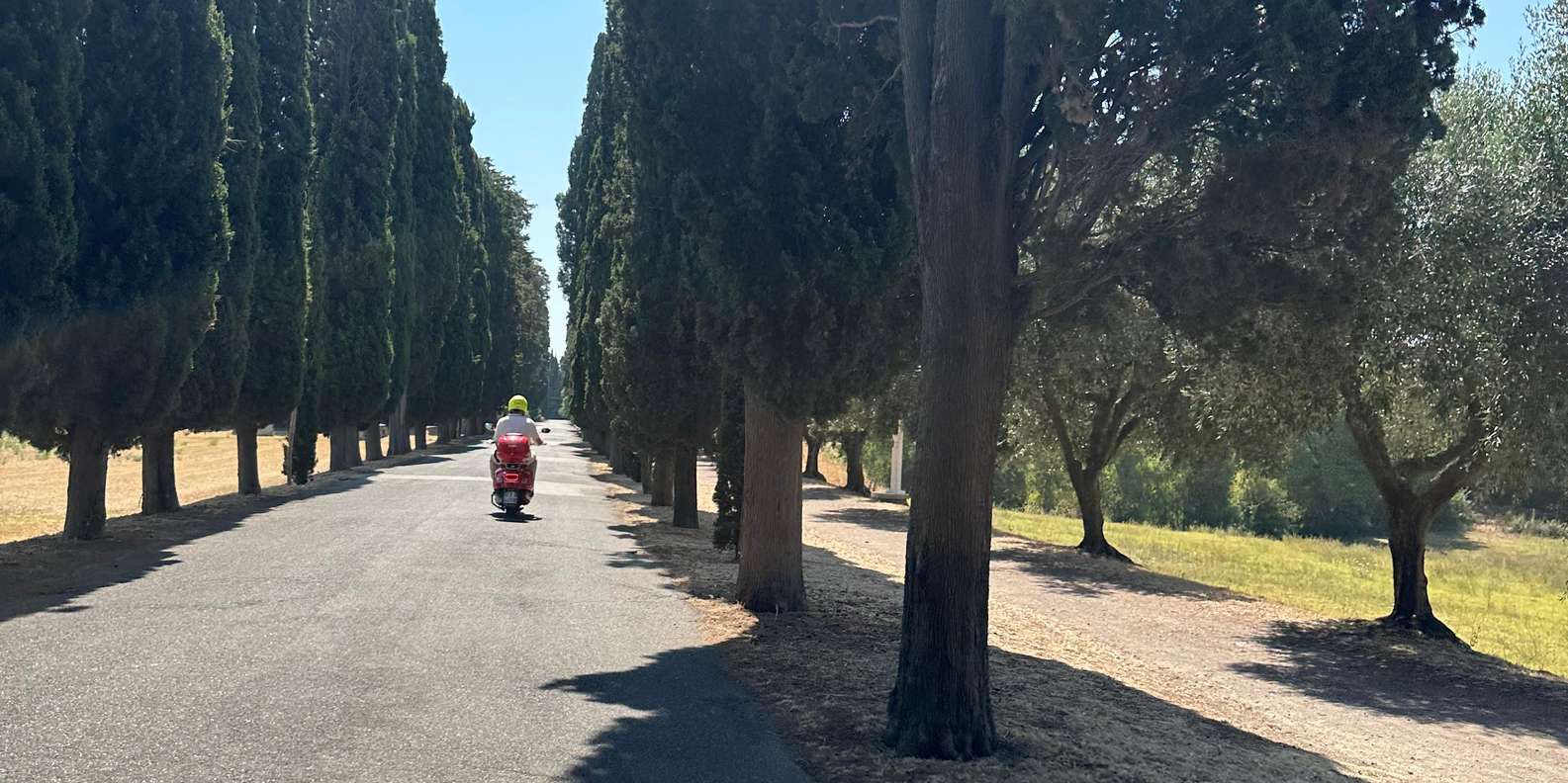 Guest photo from review