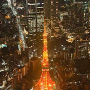 Tokyo Skytree And Tokyo Tower Helicopter Tour T1053839 — photo 7
