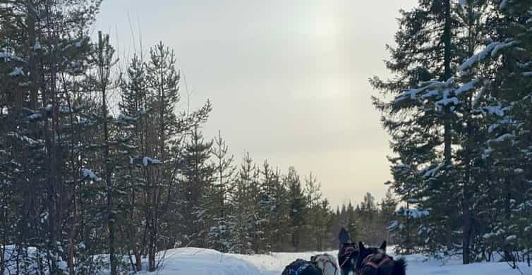 Медиаколлаж