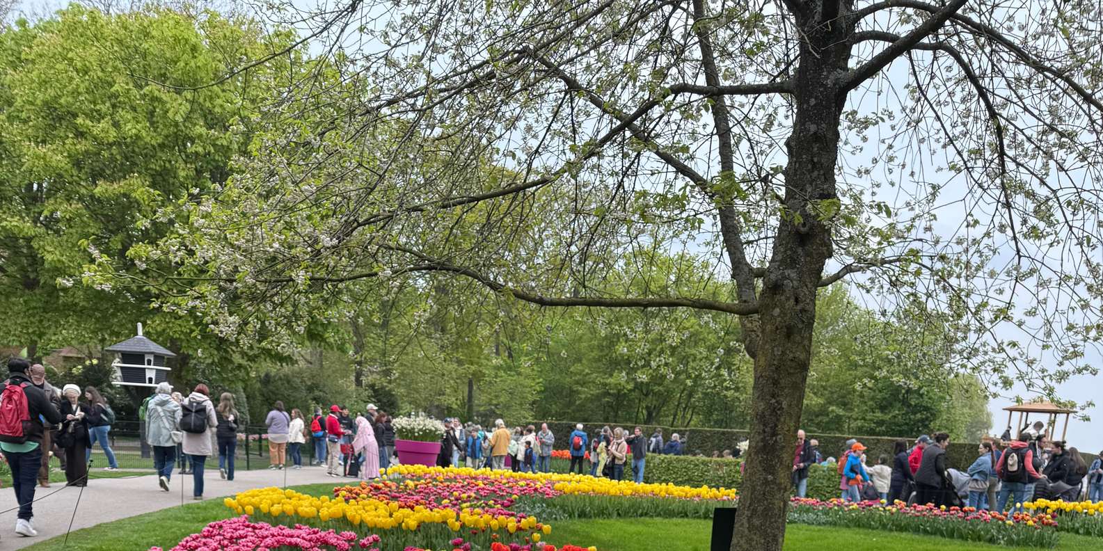 Guest photo from review