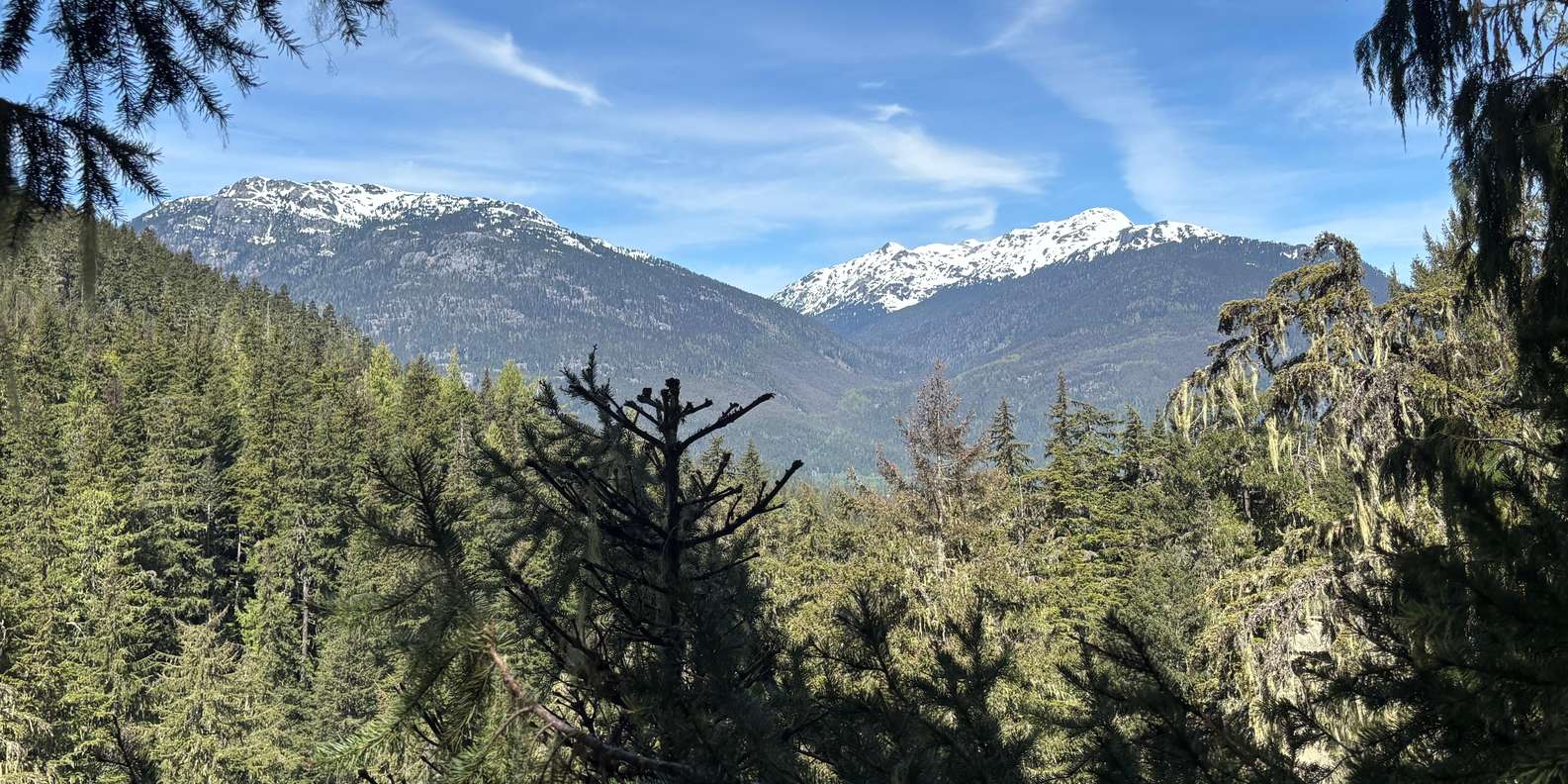 Guest photo from review