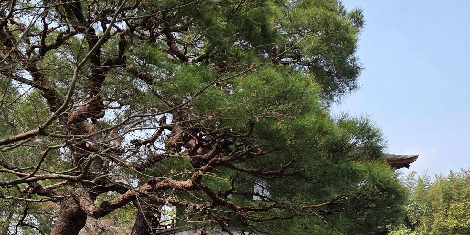 Guest photo from review