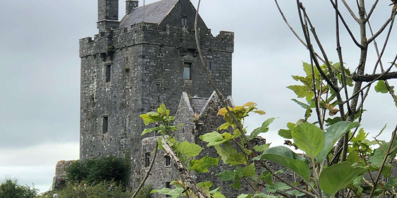 Guest photo from review