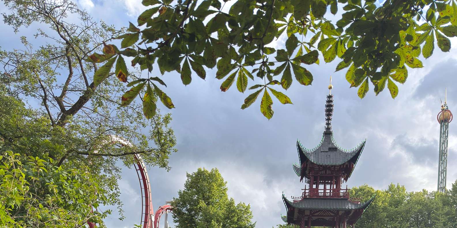 Guest photo from review