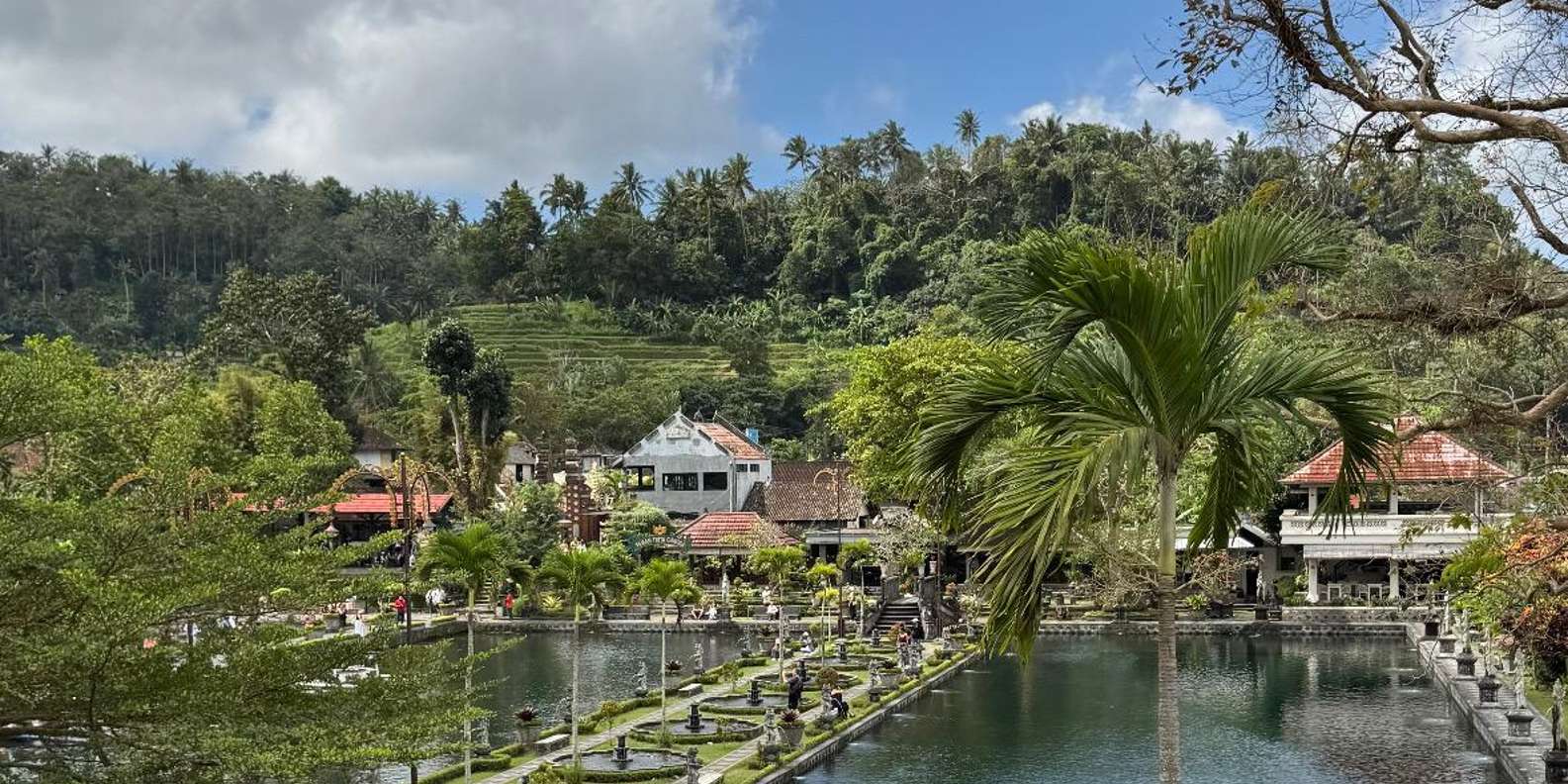 Guest photo from review