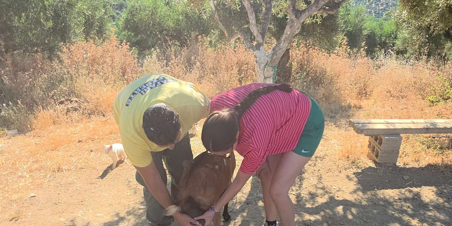 Guest photo from review
