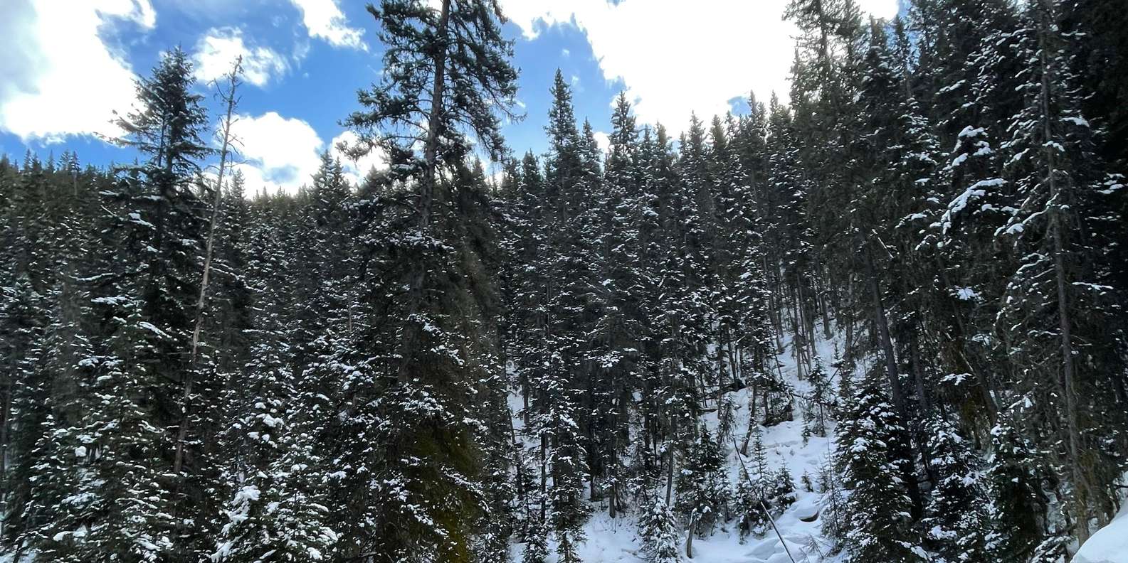 Guest photo from review
